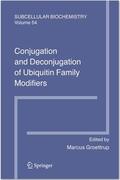 Groettrup |  Conjugation and Deconjugation of Ubiquitin Family Modifiers | Buch |  Sack Fachmedien