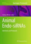 Werner |  Animal Endo-SiRNAs | Buch |  Sack Fachmedien