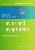 Schleicher / Weber |  Flavins and Flavoproteins | Buch |  Sack Fachmedien
