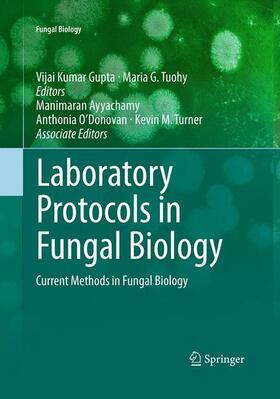 Gupta / Tuohy / O’Donovan | Laboratory Protocols in Fungal Biology | Buch | 978-1-4939-4197-1 | sack.de