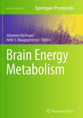 Waagepetersen / Hirrlinger |  Brain Energy Metabolism | Buch |  Sack Fachmedien