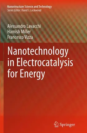 Lavacchi / Vizza / Miller |  Nanotechnology in Electrocatalysis for Energy | Buch |  Sack Fachmedien