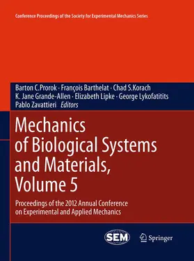 Prorok / Barthelat / Korach |  Mechanics of Biological Systems and Materials, Volume 5 | Buch |  Sack Fachmedien