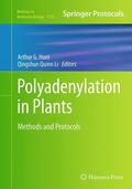 Li / Hunt |  Polyadenylation in Plants | Buch |  Sack Fachmedien