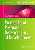 Walker |  Prenatal and Postnatal Determinants of Development | Buch |  Sack Fachmedien