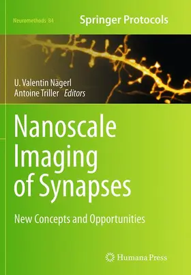 Triller / Nägerl |  Nanoscale Imaging of Synapses | Buch |  Sack Fachmedien