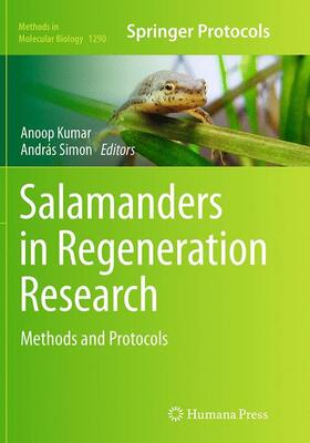 Simon / Kumar | Salamanders in Regeneration Research | Buch | 978-1-4939-4947-2 | sack.de
