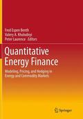 Benth / Laurence / Kholodnyi |  Quantitative Energy Finance | Buch |  Sack Fachmedien