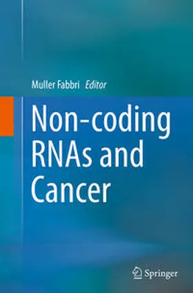 Fabbri |  Non-coding RNAs and Cancer | Buch |  Sack Fachmedien