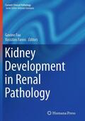 Faa / Fanos |  Kidney Development in Renal Pathology | Buch |  Sack Fachmedien