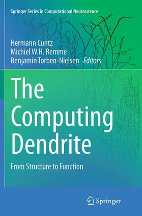 Cuntz / Torben-Nielsen / Remme | The Computing Dendrite | Buch | 978-1-4939-5353-0 | sack.de