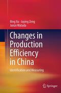 Xu / Watada / Zeng |  Changes in Production Efficiency in China | Buch |  Sack Fachmedien