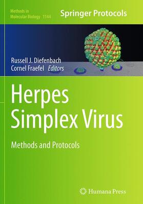 Fraefel / Diefenbach | Herpes Simplex Virus | Buch | 978-1-4939-5407-0 | sack.de