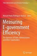 Rodríguez-Bolívar |  Measuring E-government Efficiency | Buch |  Sack Fachmedien