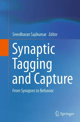 Sajikumar |  Synaptic Tagging and Capture | Buch |  Sack Fachmedien