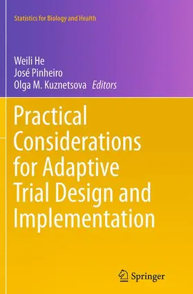 He / Kuznetsova / Pinheiro |  Practical Considerations for Adaptive Trial Design and Implementation | Buch |  Sack Fachmedien