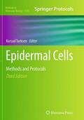 Turksen |  Epidermal Cells | Buch |  Sack Fachmedien