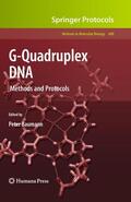Baumann |  G-Quadruplex DNA | Buch |  Sack Fachmedien