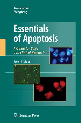 Dong / Yin | Essentials of Apoptosis | Buch | 978-1-4939-5649-4 | sack.de