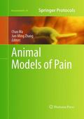 Zhang / Ma |  Animal Models of Pain | Buch |  Sack Fachmedien