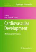 Antonyak / Peng |  Cardiovascular Development | Buch |  Sack Fachmedien