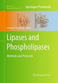 Sandoval |  Lipases and Phospholipases | Buch |  Sack Fachmedien