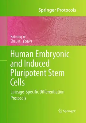 Jin / Ye |  Human Embryonic and Induced Pluripotent Stem Cells | Buch |  Sack Fachmedien