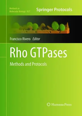 Rivero | Rho GTPases | Buch | 978-1-4939-5896-2 | sack.de