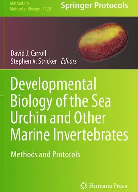 Stricker / Carroll | Developmental Biology of the Sea Urchin and Other Marine Invertebrates | Buch | 978-1-4939-5902-0 | sack.de