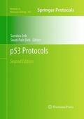 Deb |  p53 Protocols | Buch |  Sack Fachmedien