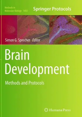 Sprecher |  Brain Development | Buch |  Sack Fachmedien