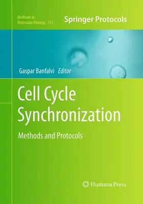 Banfalvi |  Cell Cycle Synchronization | Buch |  Sack Fachmedien
