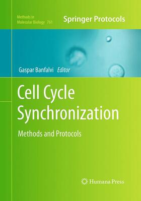Banfalvi | Cell Cycle Synchronization | Buch | 978-1-4939-6194-8 | sack.de
