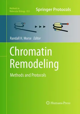 Morse |  Chromatin Remodeling | Buch |  Sack Fachmedien