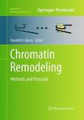Morse |  Chromatin Remodeling | Buch |  Sack Fachmedien