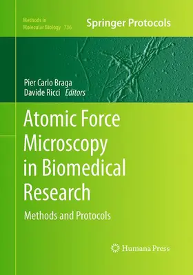 Ricci / Braga |  Atomic Force Microscopy in Biomedical Research | Buch |  Sack Fachmedien