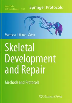 Hilton | Skeletal Development and Repair | Buch | 978-1-4939-6310-2 | www.sack.de