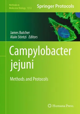 Butcher / Stintzi | Campylobacter jejuni | Buch | 978-1-4939-6534-2 | www.sack.de