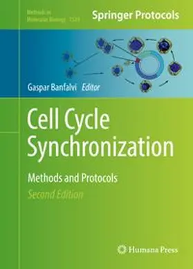 Banfalvi |  Cell Cycle Synchronization | eBook | Sack Fachmedien