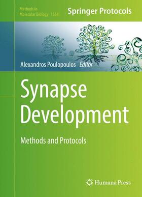 Poulopoulos | Synapse Development | Buch | 978-1-4939-6686-8 | sack.de