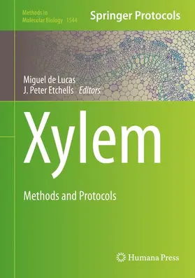 Etchhells / de Lucas |  Xylem | Buch |  Sack Fachmedien