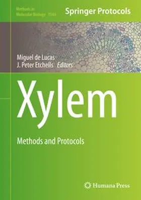 de Lucas / Etchhells |  Xylem | eBook | Sack Fachmedien