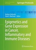 MacEwan / Stefanska |  Epigenetics and Gene Expression in Cancer, Inflammatory and Immune Diseases | Buch |  Sack Fachmedien