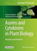 Naseem / Dandekar |  Auxins and Cytokinins in Plant Biology | Buch |  Sack Fachmedien