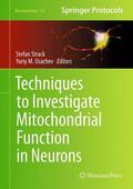 Usachev / Strack |  Techniques to Investigate Mitochondrial Function in Neurons | Buch |  Sack Fachmedien