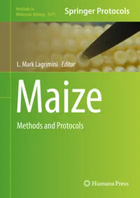 Lagrimini | Maize | E-Book | www.sack.de