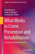 Weisburd / Gill / Farrington |  What Works in Crime Prevention and Rehabilitation | Buch |  Sack Fachmedien