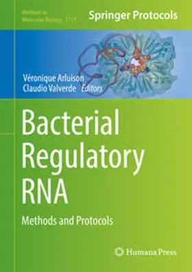 Arluison / Valverde |  Bacterial Regulatory RNA | eBook | Sack Fachmedien