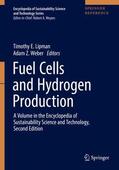 Lipman / Weber |  Fuel Cells and Hydrogen Production | Buch |  Sack Fachmedien