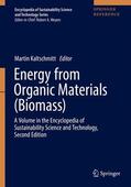 Kaltschmitt |  Energy from Organic Materials (Biomass) | Buch |  Sack Fachmedien